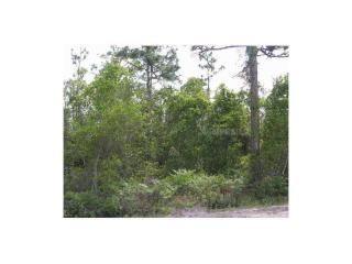 3047 Higate Drive, Deltona, FL 32738