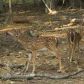 9001 Hunters Trace, Jasper, GA 30143 ID:2830780