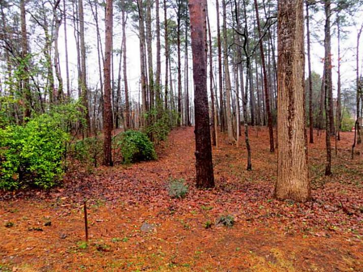 20 N Fork Drive, Marietta, GA 30064