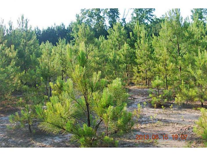 1100 Sanders Road, Cumming, GA 30041