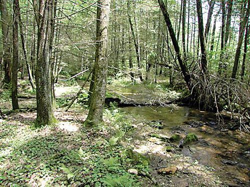 195 Celebration Hill Road, Biglerville, PA 17307