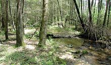 195 Celebration Hill Road Biglerville, PA 17307