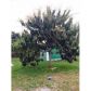 3130 NW 97 ST, Miami, FL 33147 ID:6173385