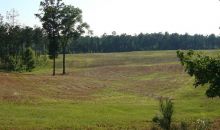 1539 Bear Creek Lot 11 Road Moreland, GA 30259