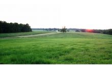 1539 Bear Creek Lot 1 Road Moreland, GA 30259