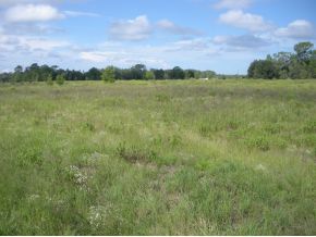 LOT 15 SE 143 CT, Morriston, FL 32668