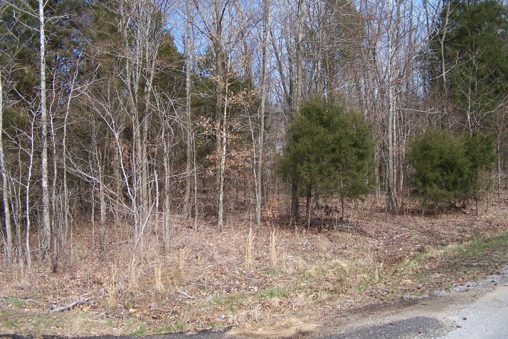 Lot 191 Frontier Lane, Cadiz, KY 42211