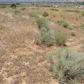 Cheyenne, lot 45, Tehachapi, CA 93561 ID:1675002