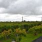 28701 SW 182 AV, Homestead, FL 33030 ID:1114713