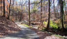 3244 Stillhouse Road Atlanta, GA 30339