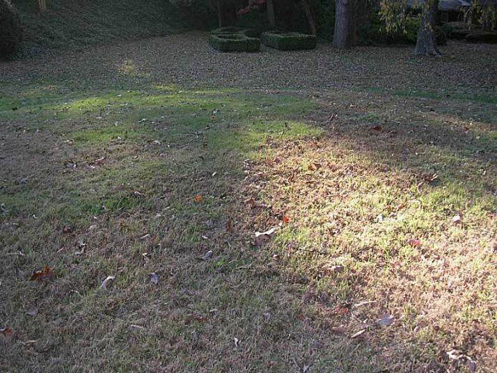 736 Beverly Drive, Gainesville, GA 30501