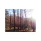 6 Riverwalk Dr., Dawsonville, GA 30534 ID:2965917