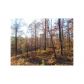 6 Riverwalk Dr., Dawsonville, GA 30534 ID:2965918