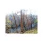 6 Riverwalk Dr., Dawsonville, GA 30534 ID:2965923