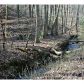1142 Upper Bethany Road, Ball Ground, GA 30107 ID:4529766
