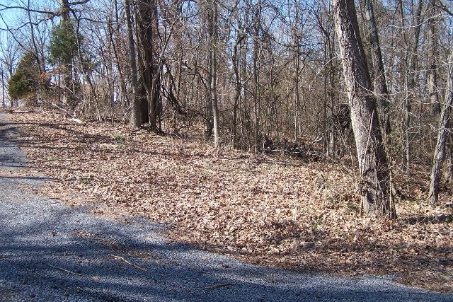 Lot 161 Maple Lane, Cadiz, KY 42211