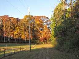 5410 Parks Road, Cumming, GA 30041