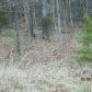 36 Talon Drive, Calhoun, GA 30701 ID:6127196