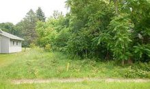 Paw Paw Decatur, MI 49045