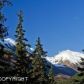 L5 Verbier Way, Girdwood, AK 99587 ID:5443614