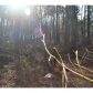 303 Hickory Nut Drive, Canton, GA 30114 ID:5709680