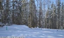 L21 B5 Yellowstone Drive Eagle River, AK 99577