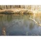 0 Riverview Drive, Blairsville, GA 30514 ID:6000348