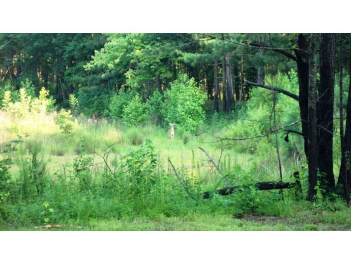 1539 Bear Creek Lot 5 Road, Moreland, GA 30259