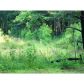 1539 Bear Creek Lot 5 Road, Moreland, GA 30259 ID:3889605