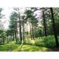 1539 Bear Creek Lot 5 Road, Moreland, GA 30259 ID:3889611