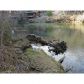0 Riverview Drive, Blairsville, GA 30514 ID:6000352
