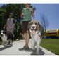 336 Cherokee Drive, Waleska, GA 30183 ID:4327821