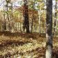 981 Raccoon Ridge Drive, Ranger, GA 30734 ID:3367884