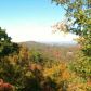 981 Raccoon Ridge Drive, Ranger, GA 30734 ID:3367887