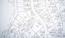 257 Hillside Drive Waleska, GA 30183