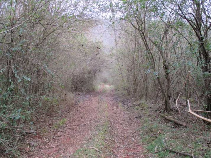 97 Highway 19 N, Dahlonega, GA 30533