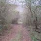97 Highway 19 N, Dahlonega, GA 30533 ID:5879978