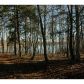 0 Mustang Drive, Hartwell, GA 30643 ID:2688857