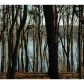 0 Mustang Drive, Hartwell, GA 30643 ID:2688859
