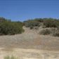 Tanganda, lot 1, Tehachapi, CA 93561 ID:1674820