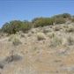 Tanganda, lot 1, Tehachapi, CA 93561 ID:1674823