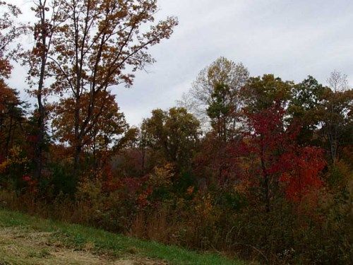 26 Smoky Ridge Way, Cleveland, GA 30528