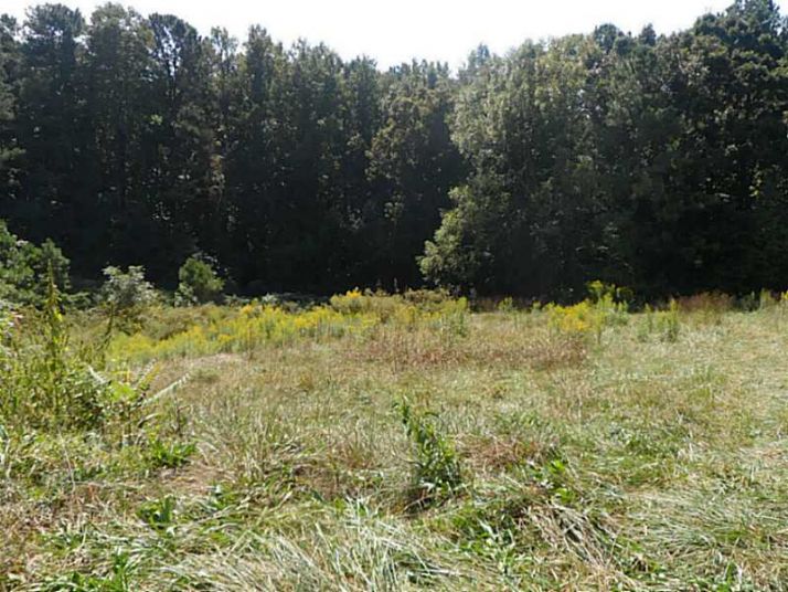313 Hollybush Court, Ball Ground, GA 30107