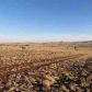 Concho Valley  #6 Lot 1, Concho, AZ 85924 ID:3229525