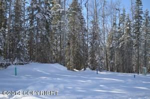 L21 B5 Yellowstone Drive, Eagle River, AK 99577