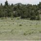 0120 Stage Coach Pass, Del Norte, CO 81132 ID:5121833