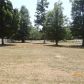 109 Leah Dr, Montgomery, TX 77316 ID:799559