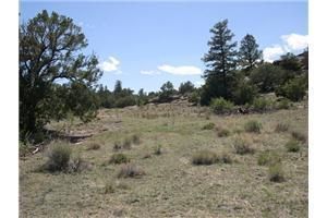 537 Rim Rock Road, Del Norte, CO 81132