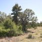 537 Rim Rock Road, Del Norte, CO 81132 ID:5121865