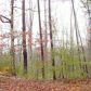 43 Arrow Wood Lane, Waleska, GA 30183 ID:3364831